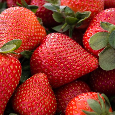 Fresas 